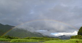 2012-08-19 07.31.20